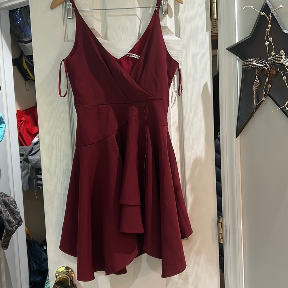 Never worn beautiful plum dress
